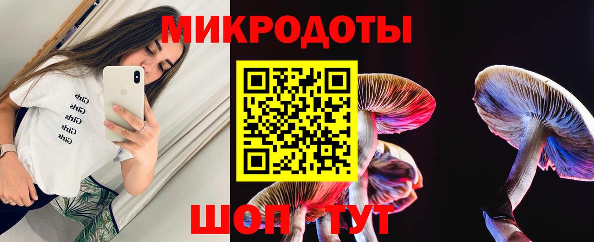 Галлюциногенные грибы Psilocybine cubensis Кунгур